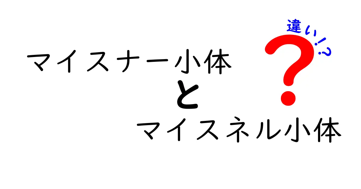 マイスナー小体とマイスネル小体の違いとは?表記の謎をわかりやすく解説