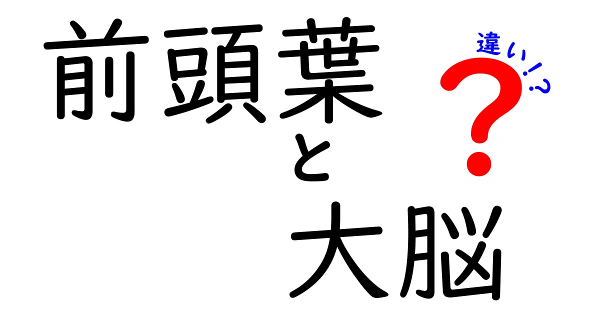 前頭葉と大脳の違いを徹底解説!中学生にもわかる脳のしくみ