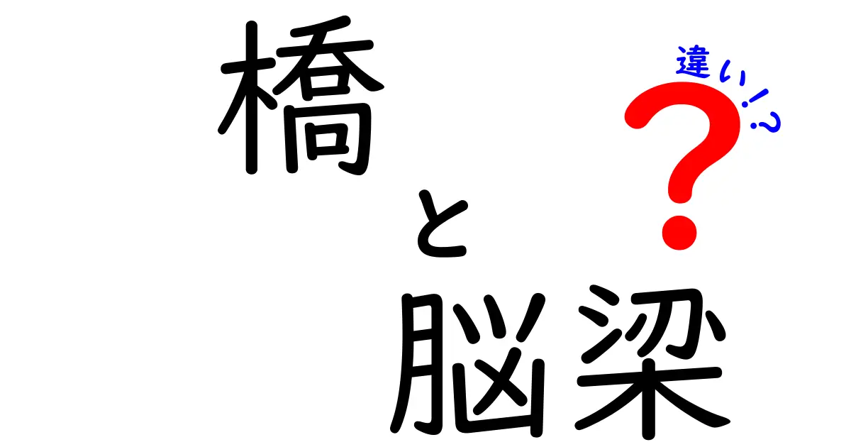 橋と脳梁の違いをやさしく解説:脳の“橋”と“梁”が果たす役割を図解感覚で理解する