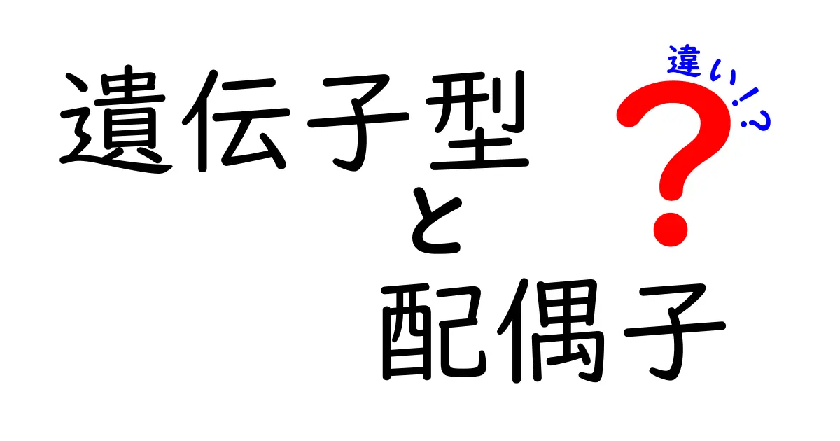 遺伝子型と配偶子の違いをわかりやすく解説!中学生にも伝わる遺伝の基礎