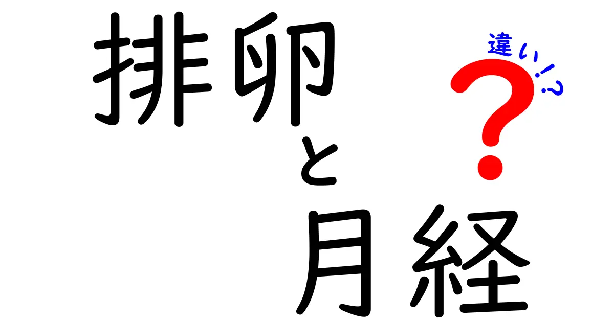排卵と月経の違いをわかりやすく解説！中学生にも伝わる基本のポイント