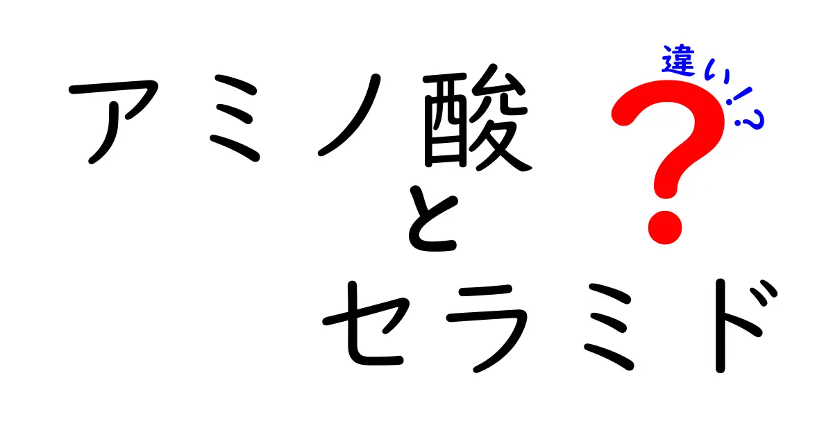 アミノ酸とセラミドの違いとは？美肌成分の秘密をやさしく解説！