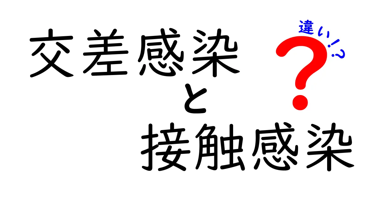 交差感染と接触感染の違いを正しく理解するための完全ガイド:病院のリスクと日常の予防ポイント