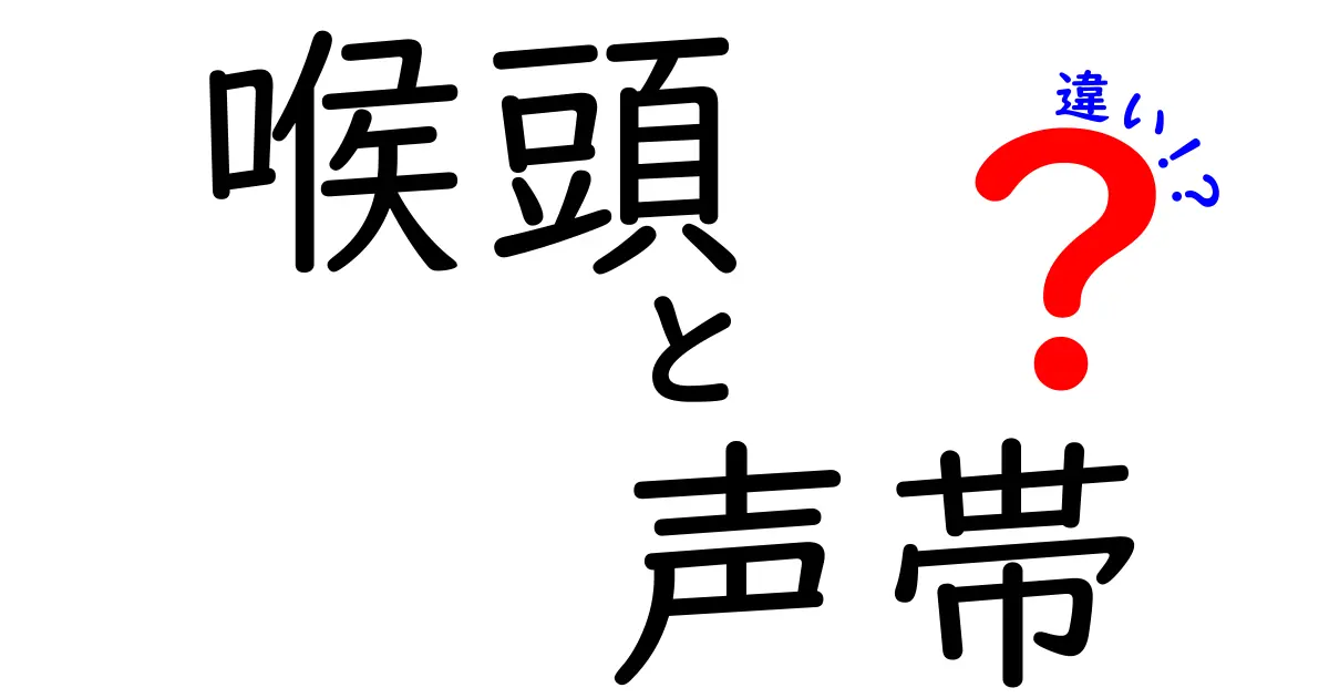 喉頭と声帯の違いがよくわかる図解つき解説|声はどうつくられるのか完全ガイド