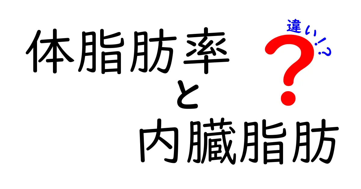 【初心者向け】体脂肪率と内臓脂肪の違いとは？健康管理に大切なポイントを徹底解説！