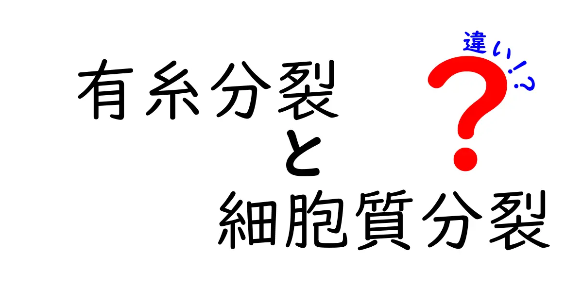 有糸分裂と細胞質分裂の違いを徹底解説!細胞が増えるしくみを中学生にもわかるように