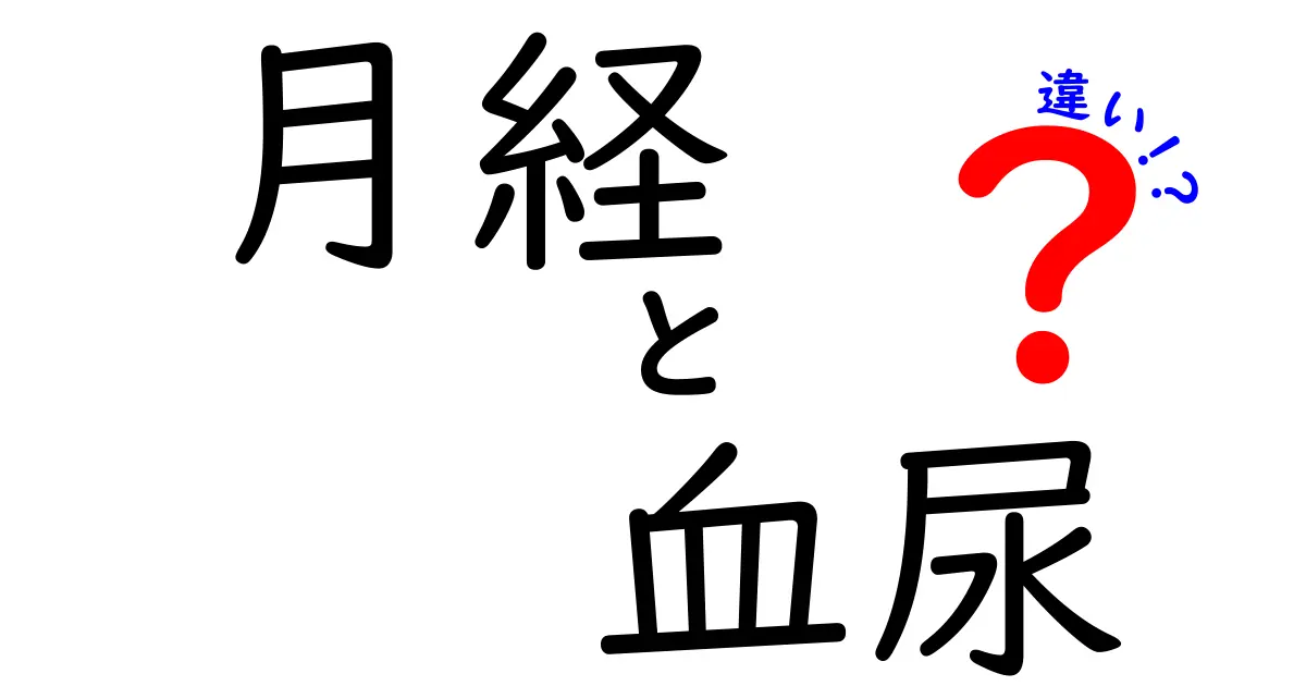 月経と血尿の違いを徹底解説!見分け方と受診のサイン