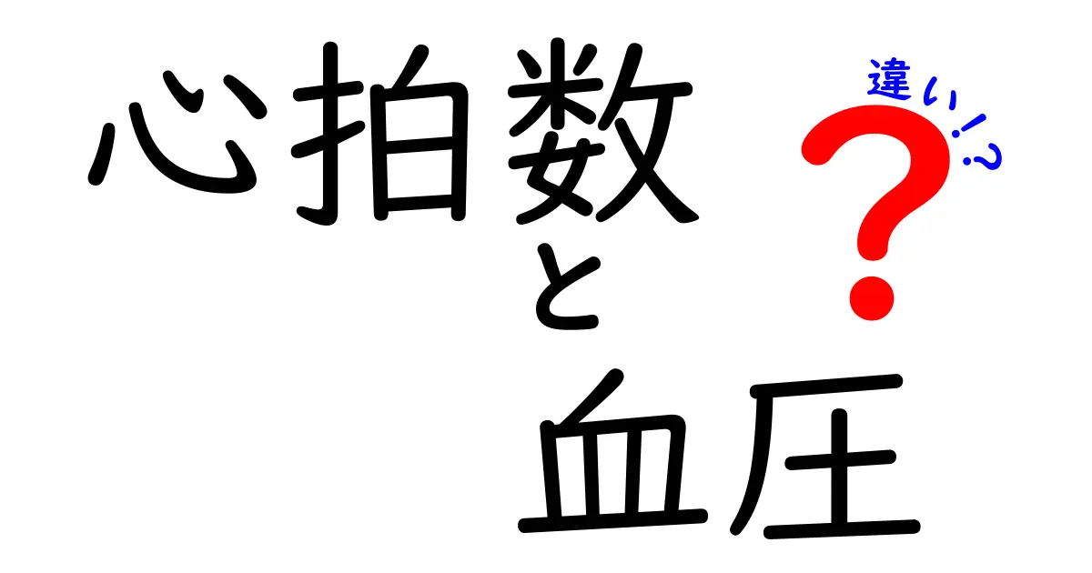 心拍数と血圧の違いを徹底解説!健康管理に役立つ基礎知識