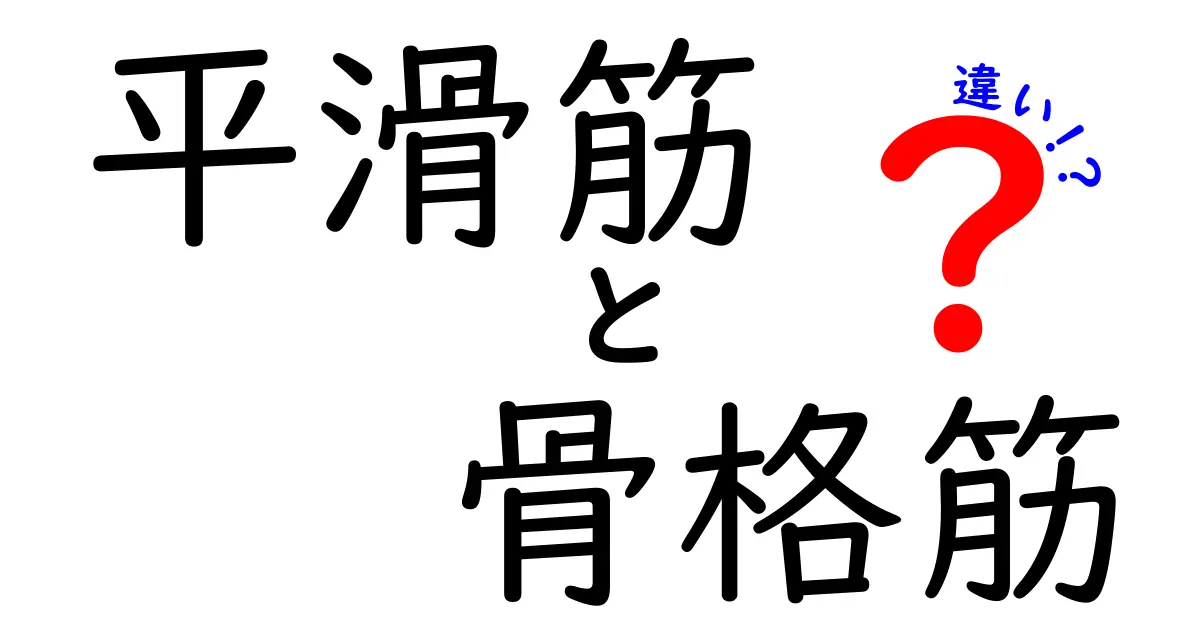 平滑筋と骨格筋の違いをわかりやすく解説!中学生でも理解できる筋肉の秘密