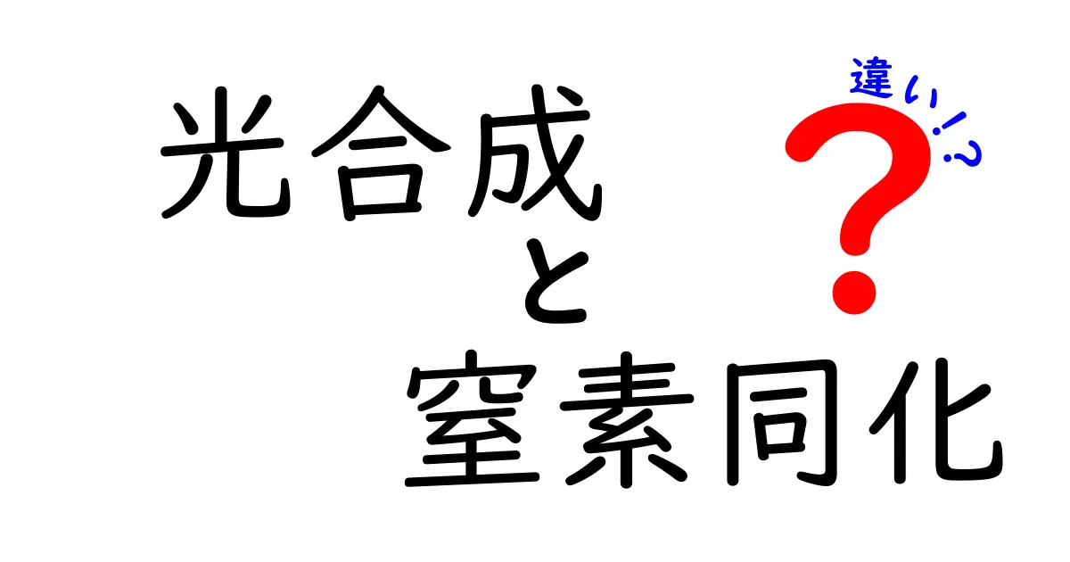 光合成と窒素同化の違いをわかりやすく解説!植物の驚くべき2つの仕組み