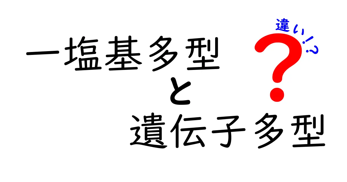 一塩基多型と遺伝子多型の違いを徹底解説!中学生にもわかる図解つきのやさしい入門