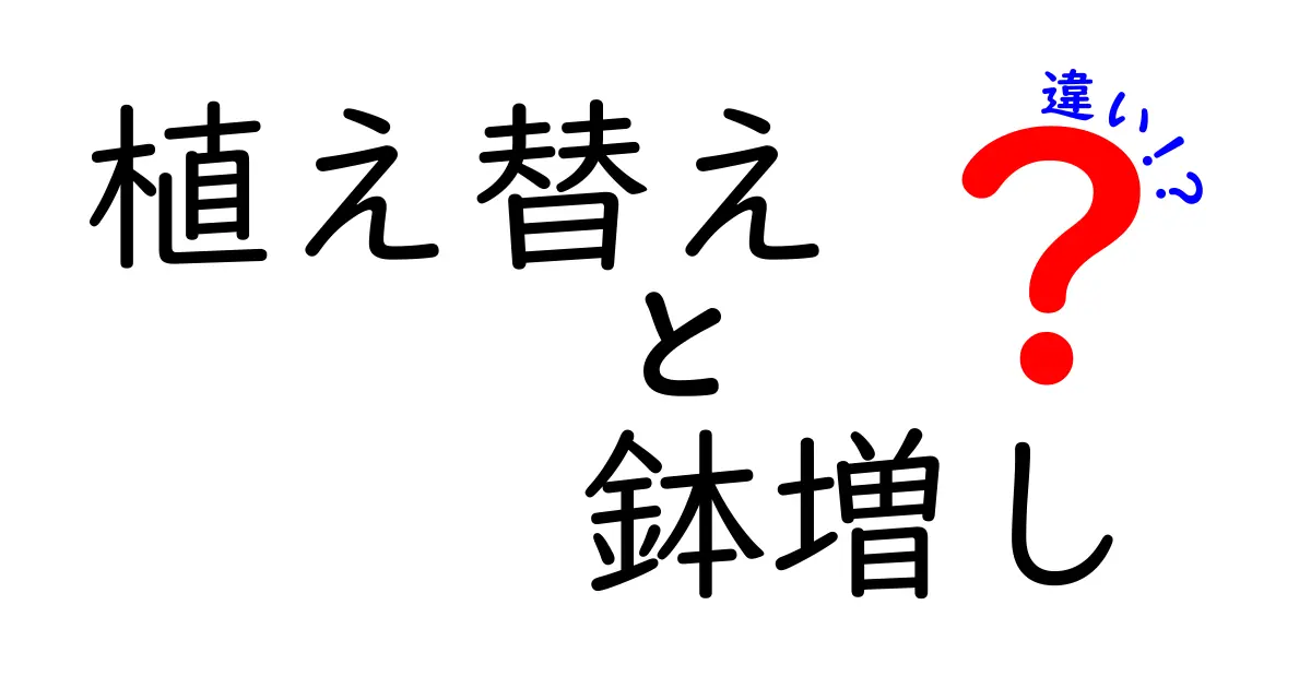 植え替えと鉢増しの違いとは？初心者にもわかる植物の育て方の基本