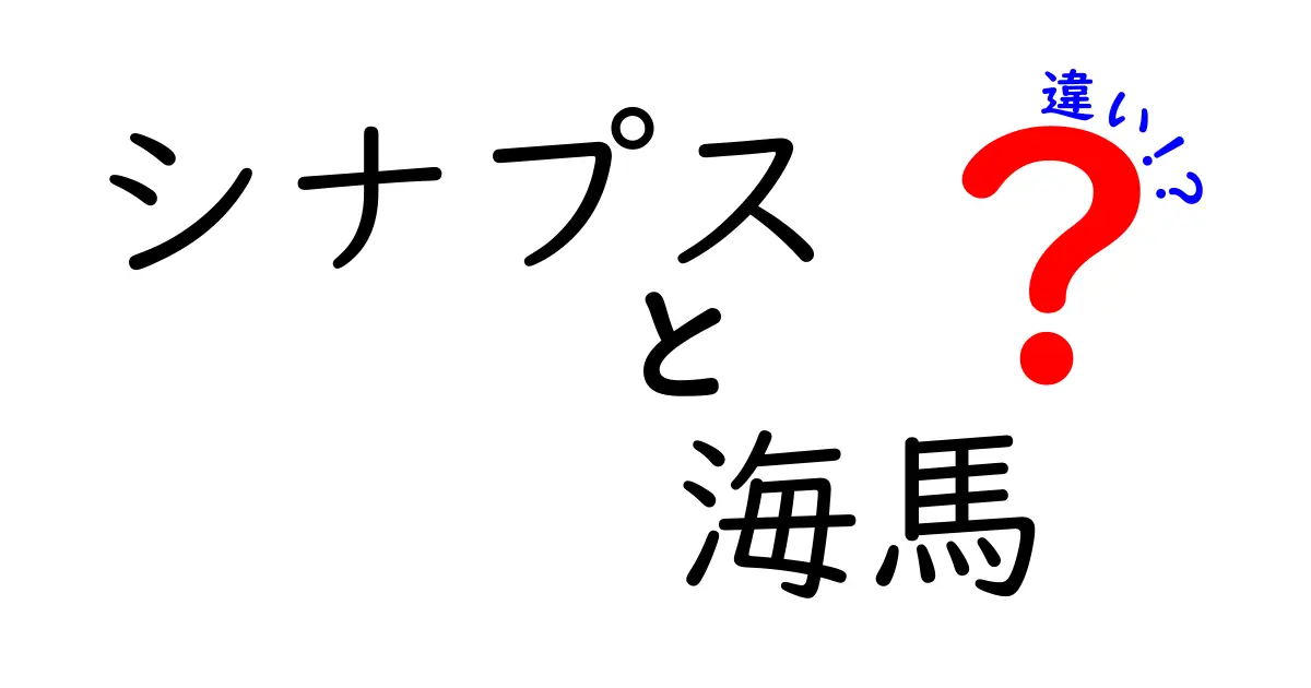 シナプスと海馬の違いを徹底解説！脳の仕組みをやさしく理解しよう