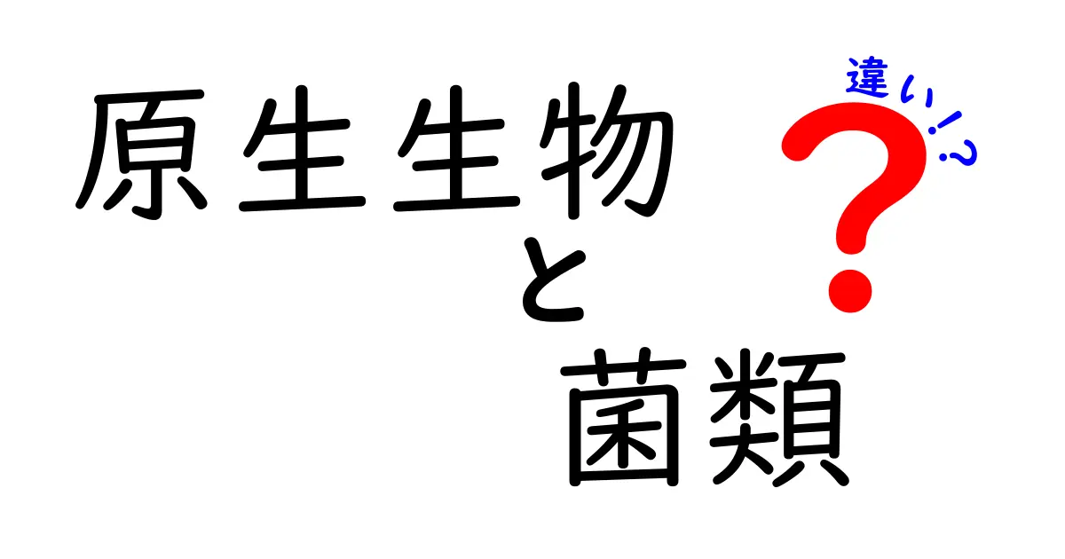 原生生物と菌類の違いを徹底解説!中学生にも分かる図解つきの新常識