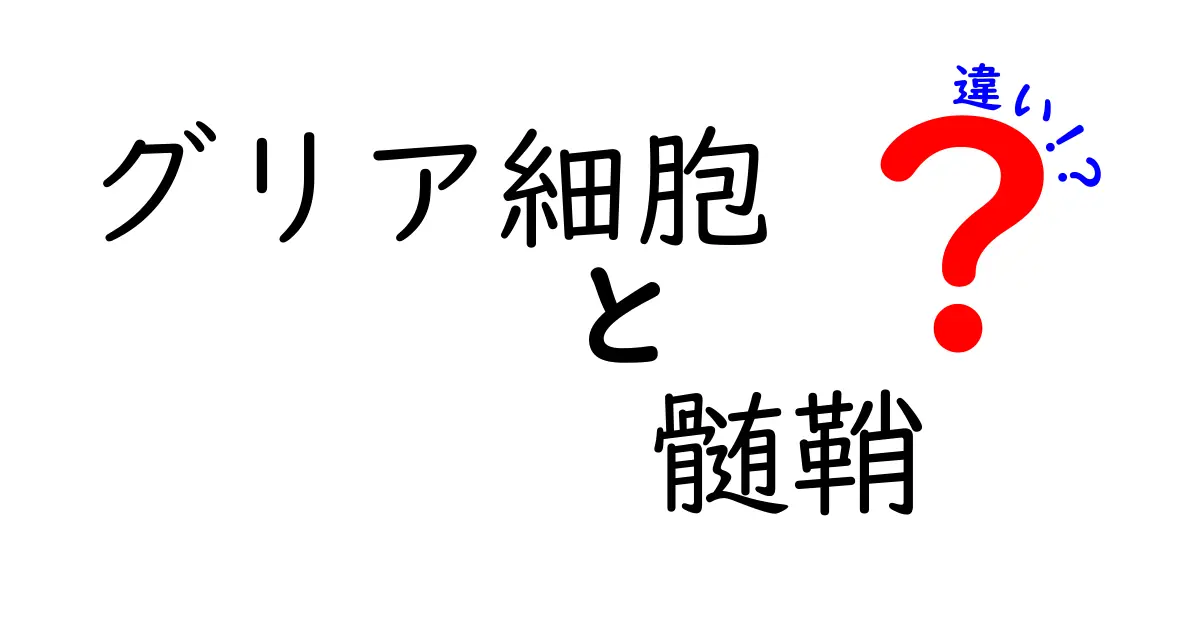 グリア細胞と髄鞘の違いを徹底解説|中学生にもわかる図解つきのポイント