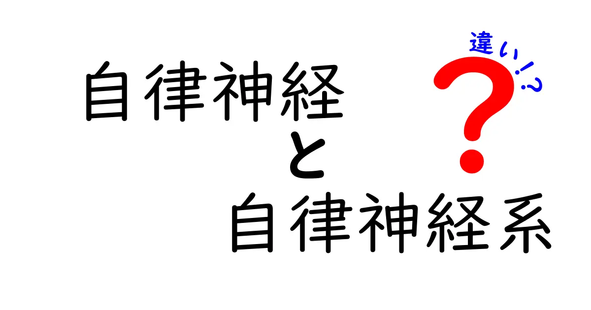 自律神経と自律神経系の違いを徹底解説!初心者でも分かる図解とポイント