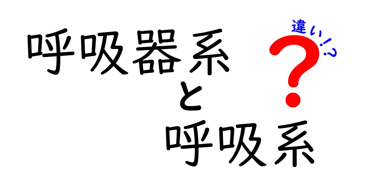 呼吸器系と呼吸系の違いを徹底解説!中学生にも伝わる図解つきガイド