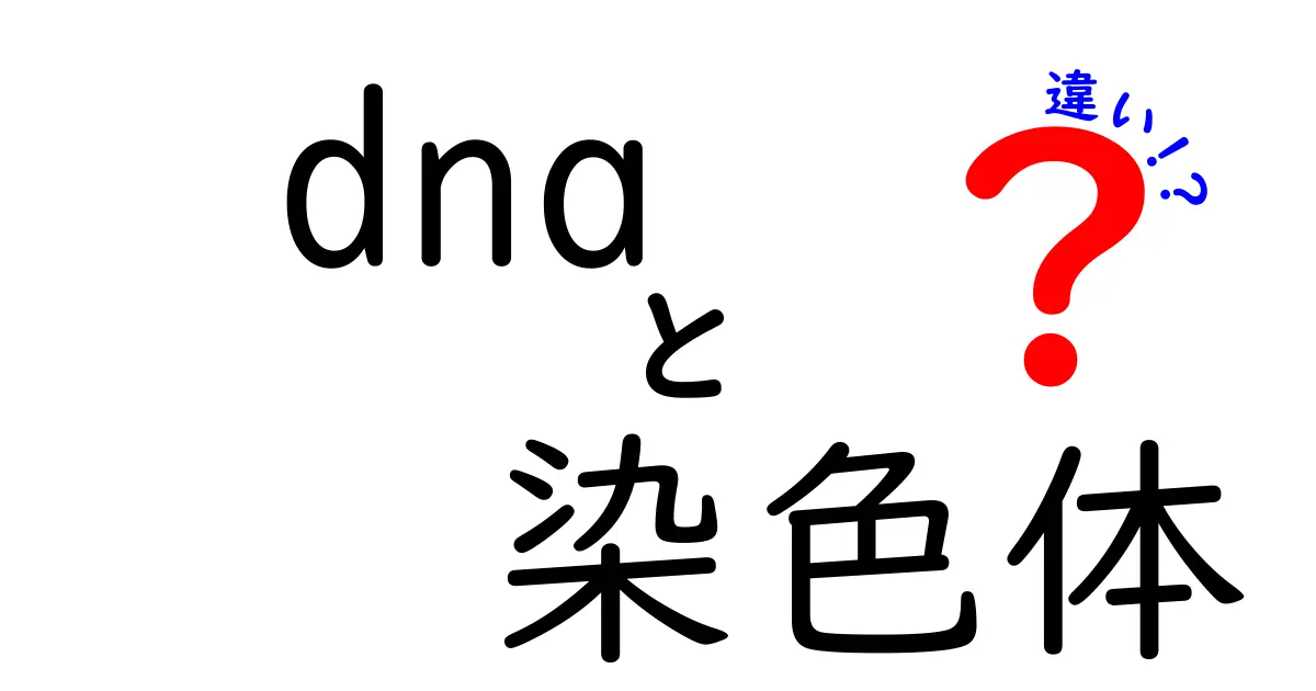 DNAと染色体の違いを徹底解説!中学生でも分かる図解つき基本ガイド