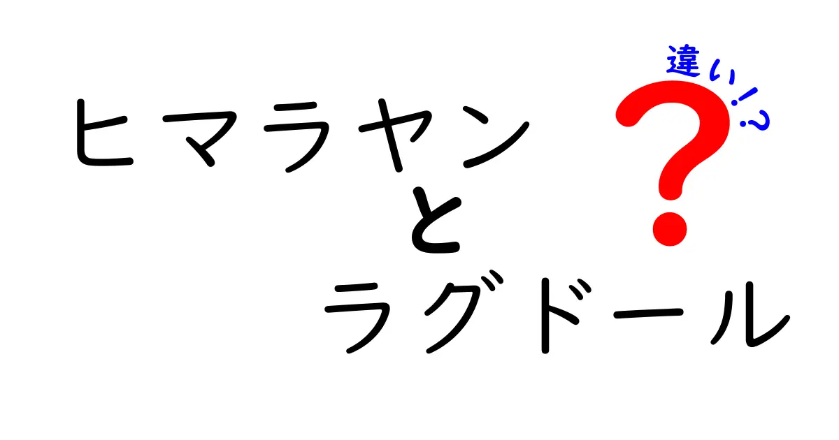 ヒマラヤンとラグドールの違いを徹底解説!見た目・性格・飼い方のポイント