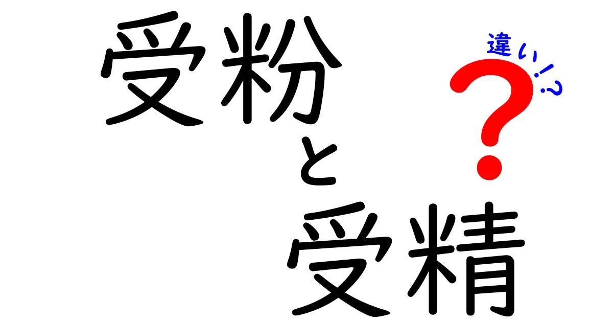 受粉と受精の違いをわかりやすく徹底解説!植物の成長に欠かせない2つのプロセス