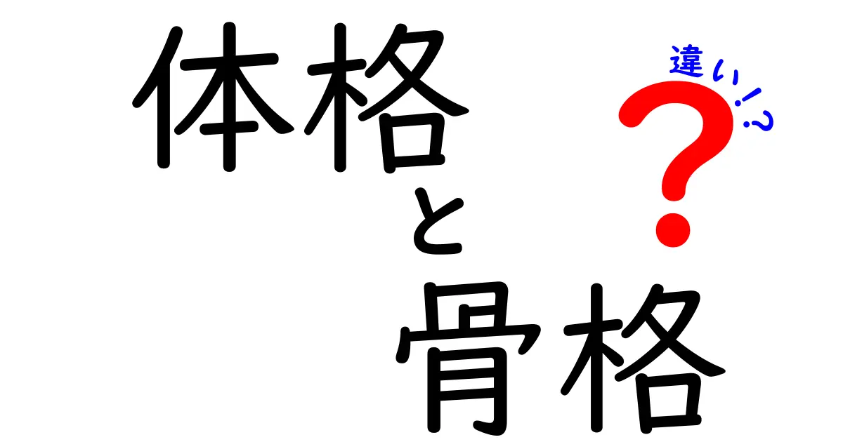 体格と骨格の違いを徹底解説!自分の体を理解するための見分け方と生活での活かし方