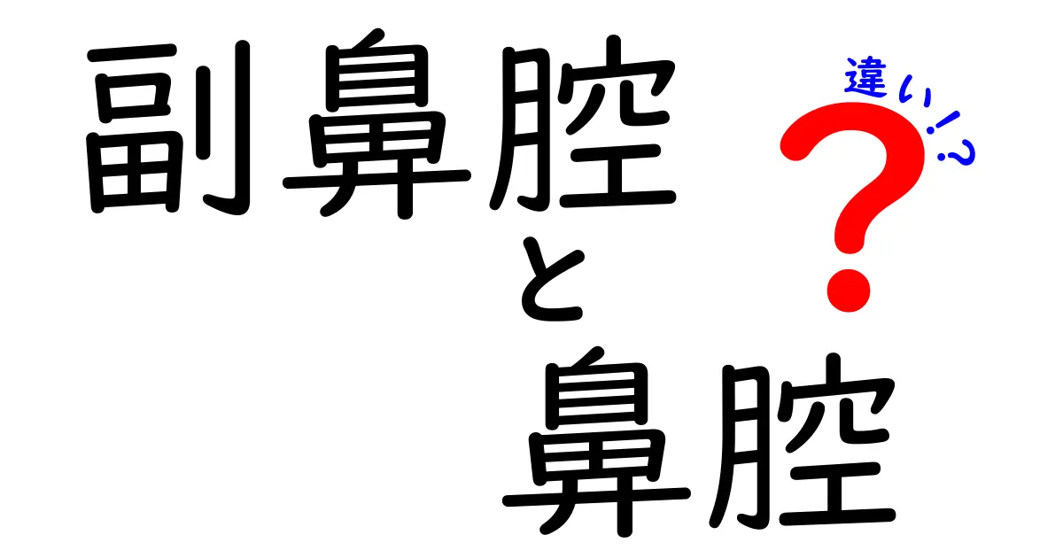 副鼻腔と鼻腔の違いを徹底解説!中学生にも分かる見分け方と役割のポイント