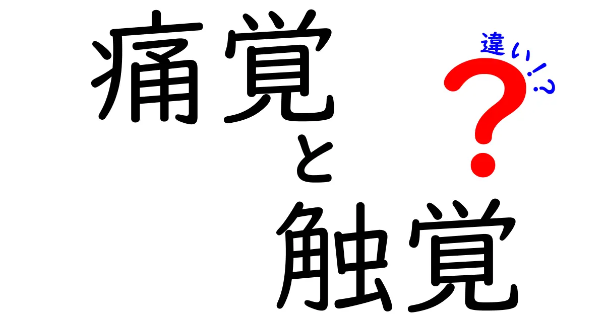痛覚と触覚の違いって何?簡単にわかるポイントを徹底解説!