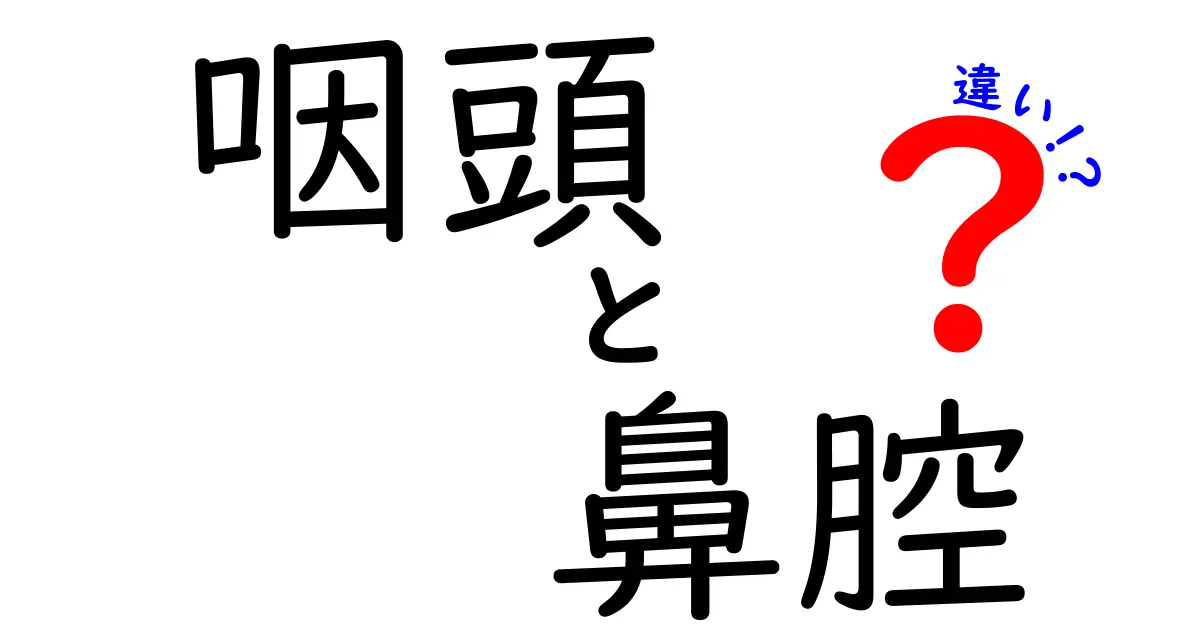 咽頭と鼻腔の違いを徹底解説 中学生にもわかる超かんたんガイド