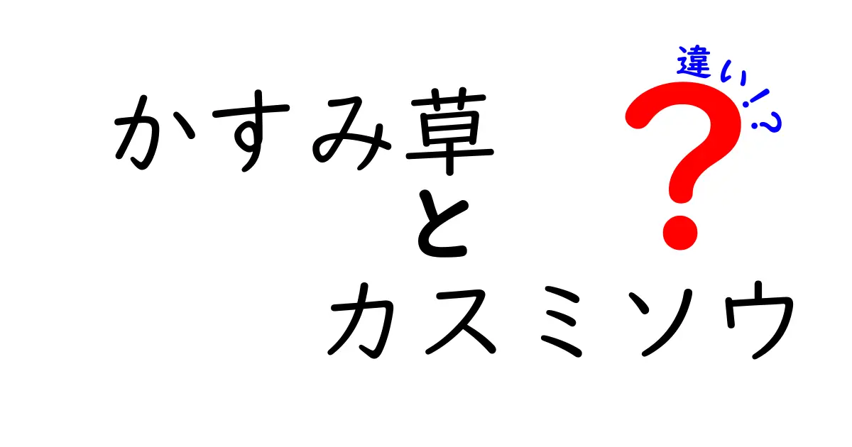 かすみ草とカスミソウの違いを徹底解説！読み方・花言葉・用途を一目でわかる比較ガイド