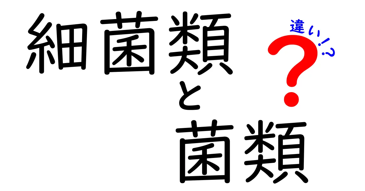 細菌類と菌類の違いを徹底解説!中学生にもわかる見分け方と身近な例