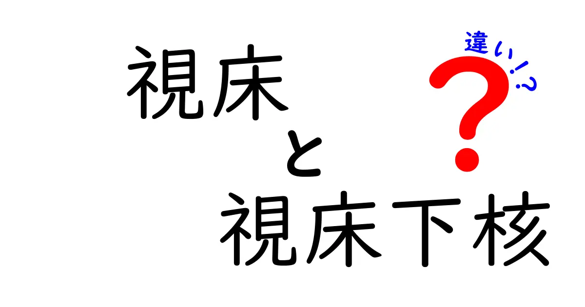 視床と視床下核の違いを徹底解説|脳の中の“2つの中枢”が果たす役割と違いをやさしく理解する