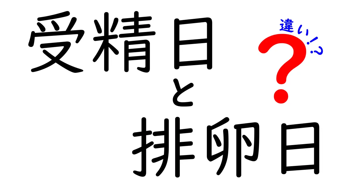受精日と排卵日の違いを完全解説！妊娠タイミングの基本と誤解を解くガイド