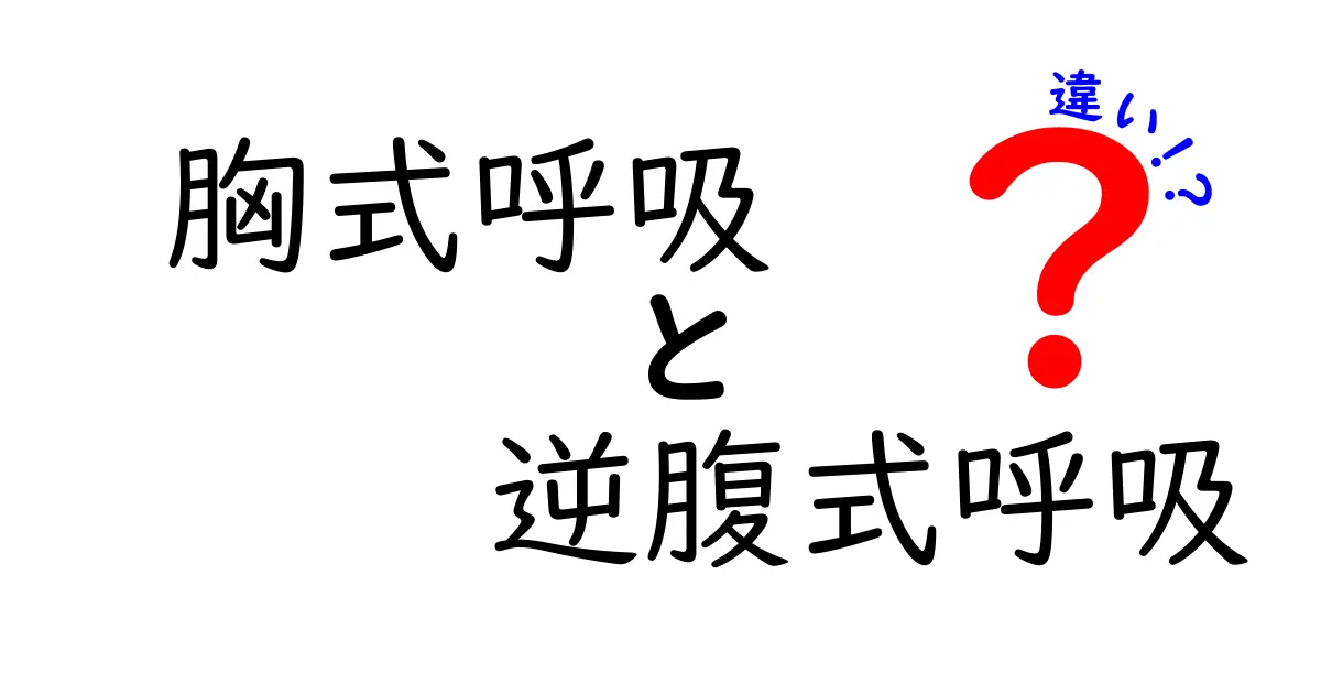 胸式呼吸と逆腹式呼吸の違いを徹底解説！正しく使い分けると日常が変わる