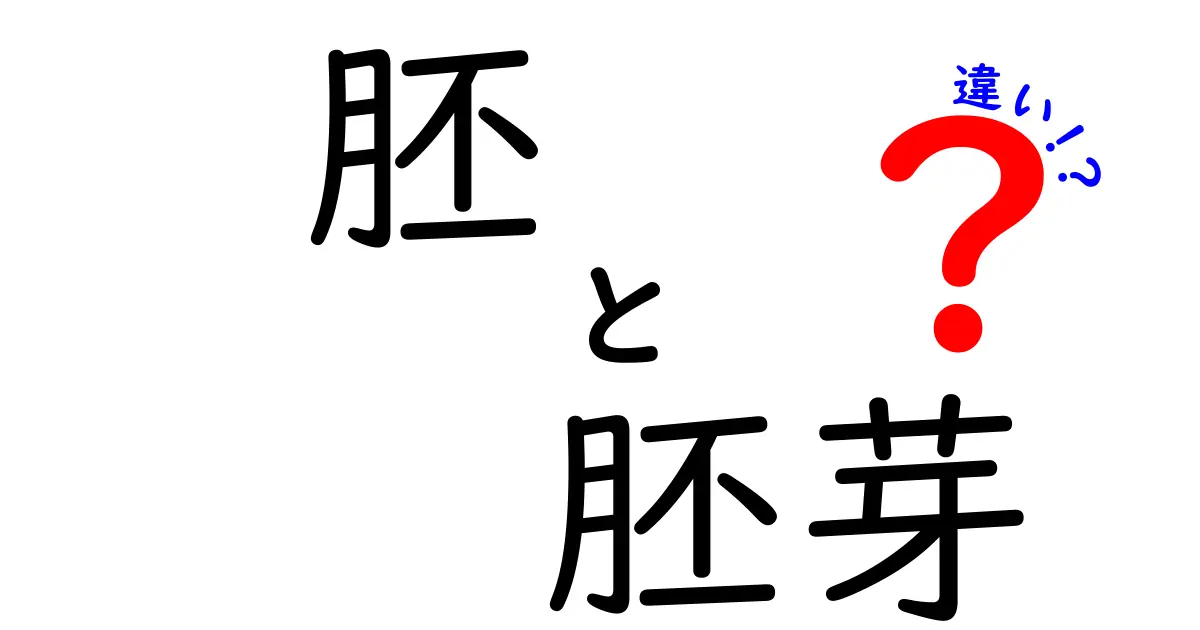 胚と胚芽の違いをやさしく解説！中学生にも伝わる分かりやすいポイント