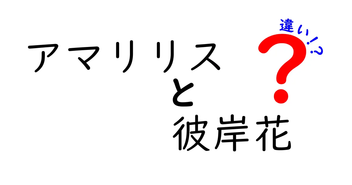 アマリリスと彼岸花の違いを徹底解説！花の特徴・見分け方・育て方まで