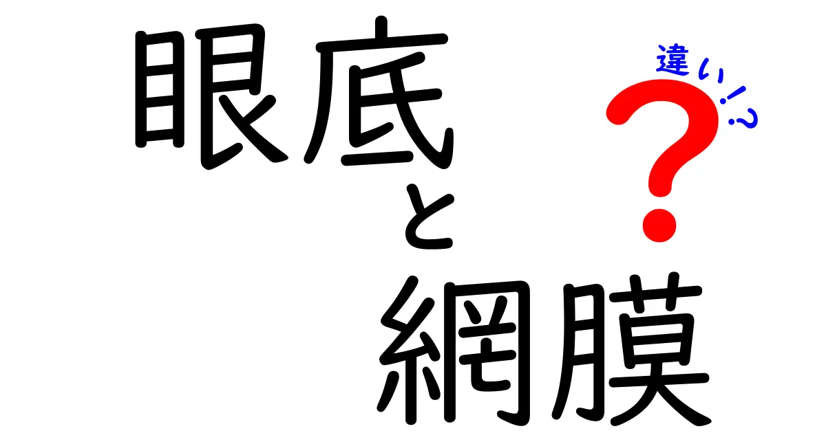 眼底と網膜の違いとは?わかりやすく解説します!