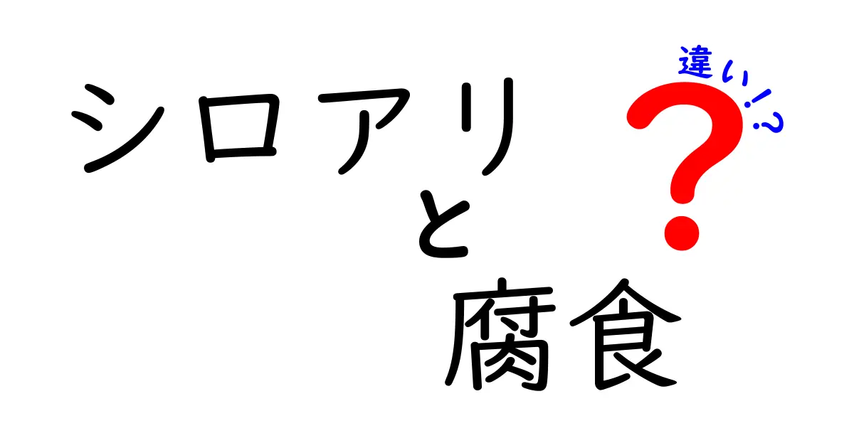 シロアリと腐食の違いとは?家を守るために知っておきたいポイント解説