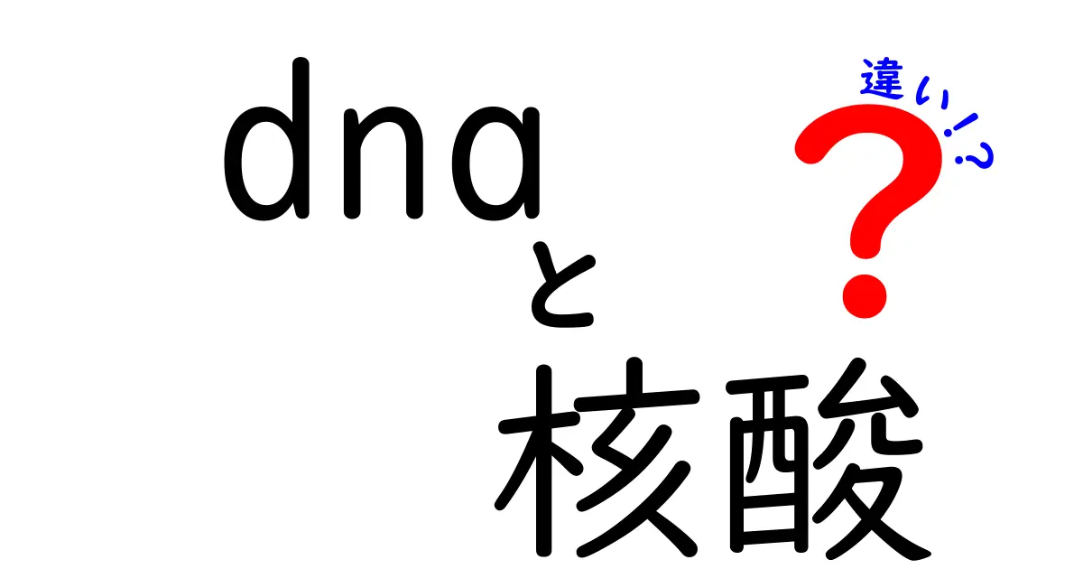 DNAと核酸の違いを中学生にも分かる図解で解説！DNAは核酸の一種？その謎を徹底解剖