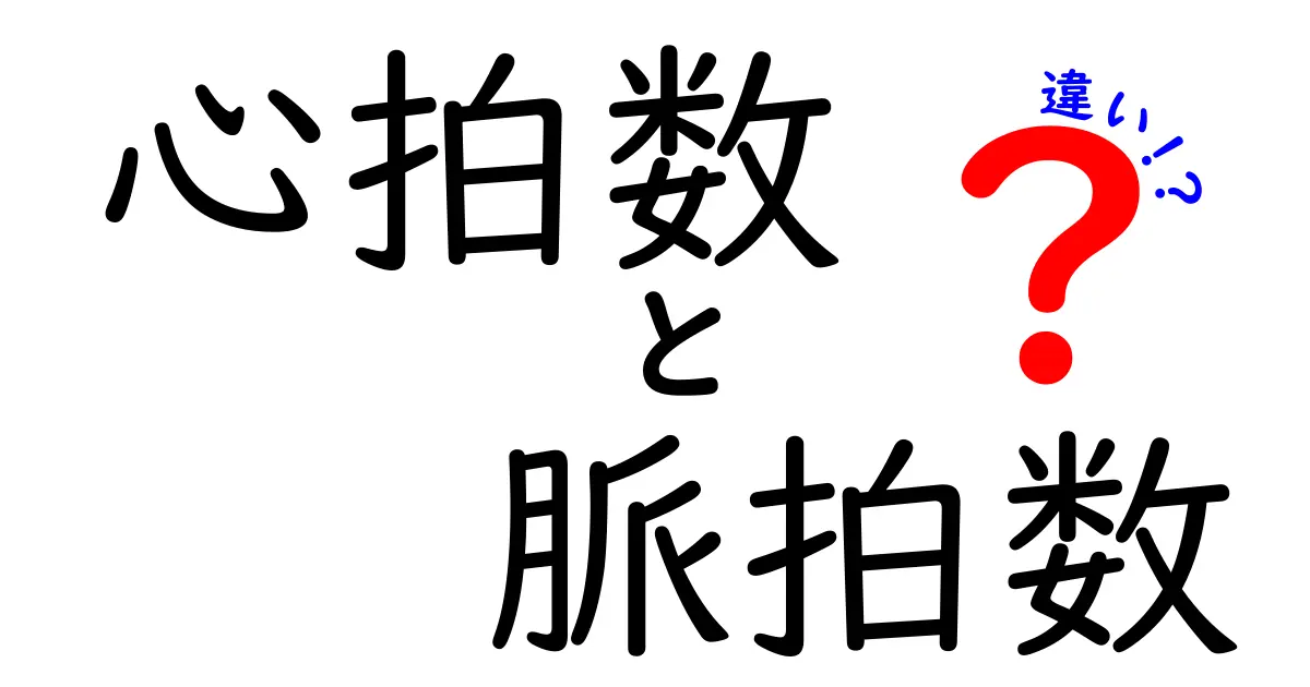 心拍数と脈拍数の違いを徹底解説！意味・測り方・誤解を解く完全ガイド
