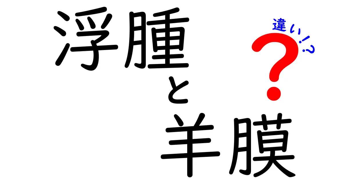 浮腫と羊膜の違いを徹底解説!中学生にもわかる違いのポイントと日常で役立つ見分け方