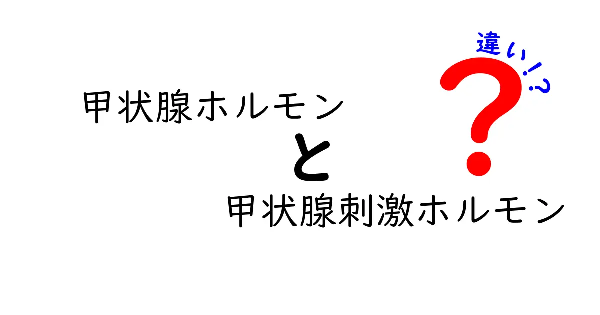 甲状腺ホルモンと甲状腺刺激ホルモンの違いを徹底解説!中学生にもわかる基礎ガイド