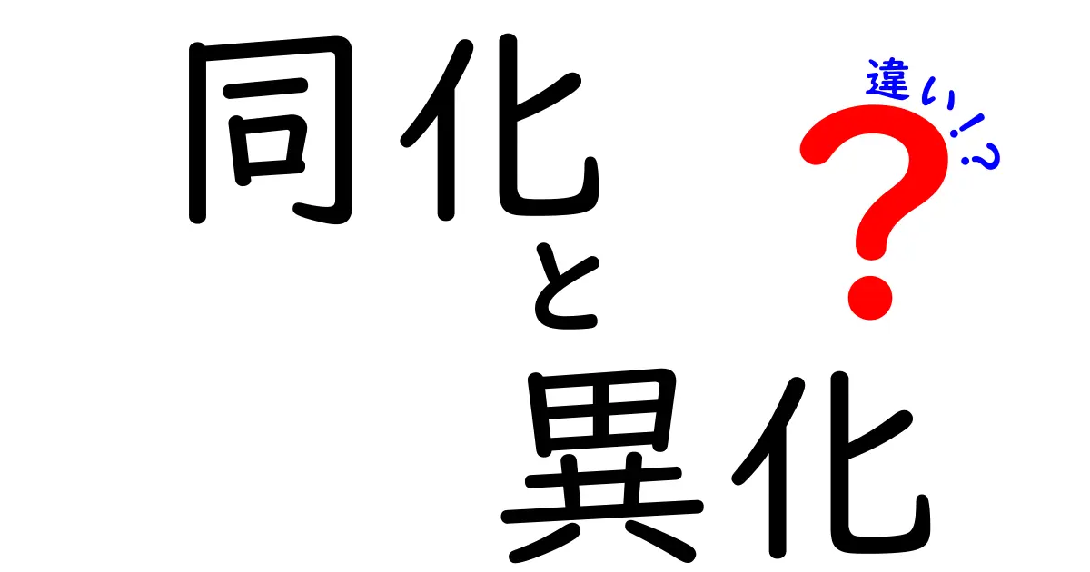 同化と異化の違いを完全理解！身近な例で学ぶ、やさしい科学の基本
