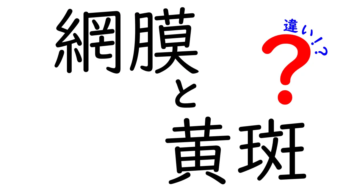網膜と黄斑の違いをわかりやすく解説!目の仕組みを理解しよう