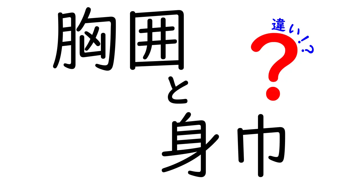 胸囲と身巾の違いを徹底解説！正しいサイズ選びのコツと失敗を避ける3つのポイント