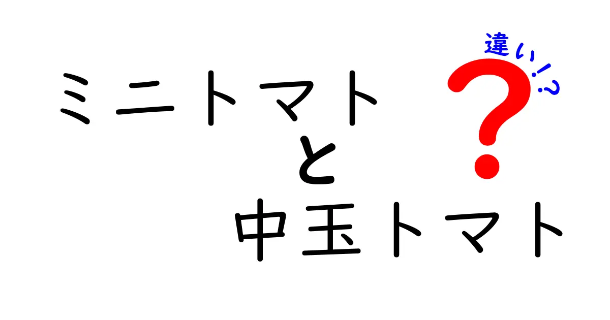 【保存版】ミニトマトと中玉トマトの違いを徹底解説!知っておきたい特徴と選び方
