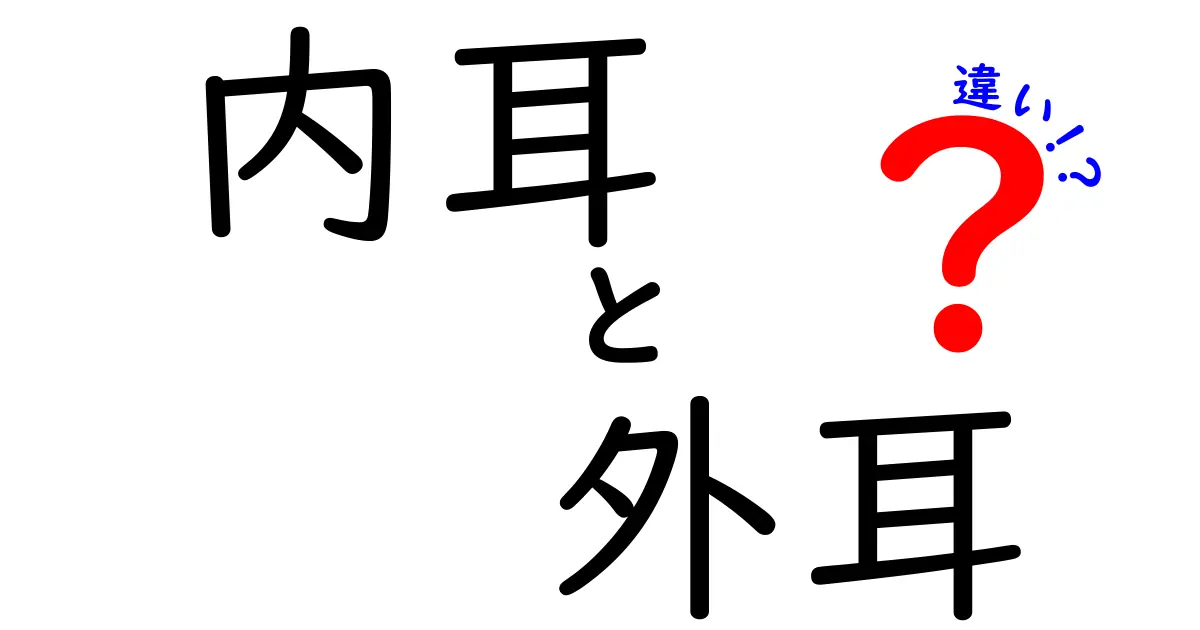 内耳と外耳の違いって何がどう違うの?中学生にもわかる耳の作りと役割を徹底解説