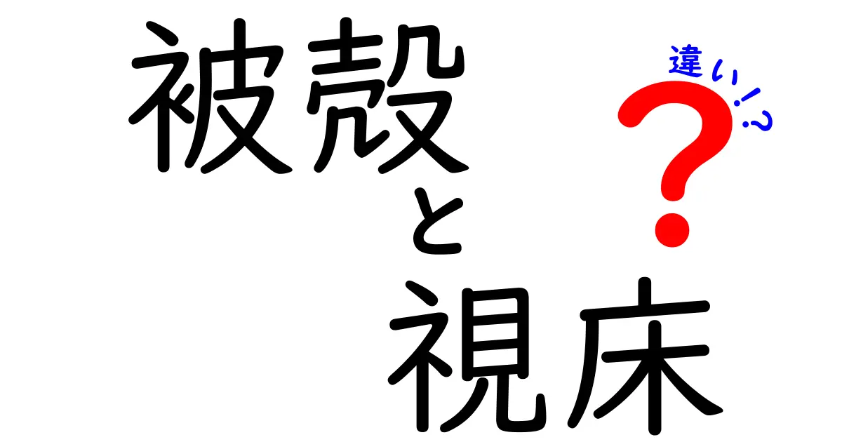 被殻 視床 違いを徹底解説!脳の2大部位の役割と違いを中学生にもわかる言葉で