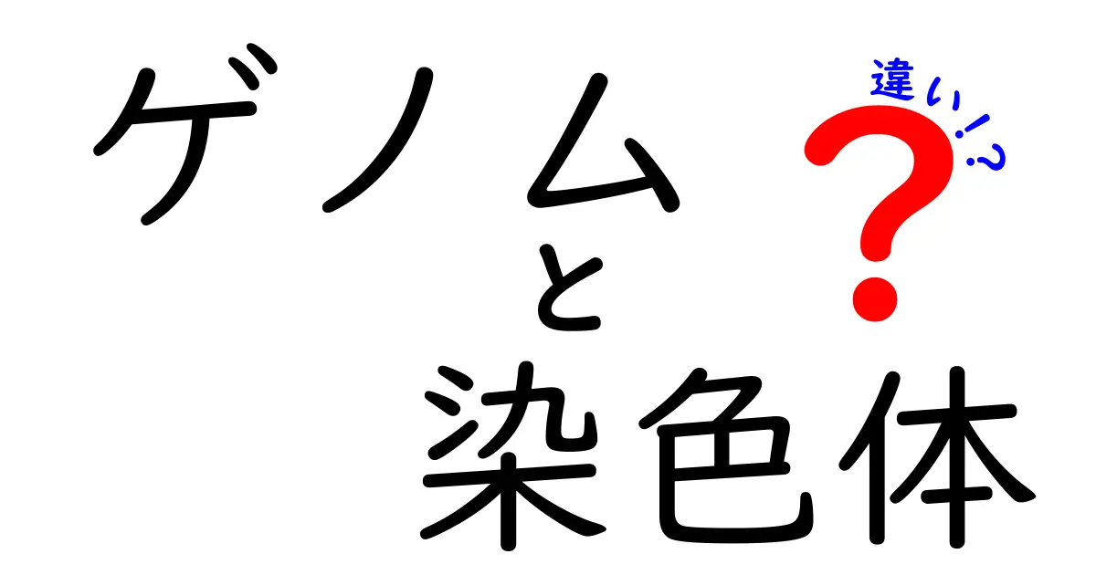 ゲノムと染色体の違いを徹底解説!中学生にも分かる図解つきガイド