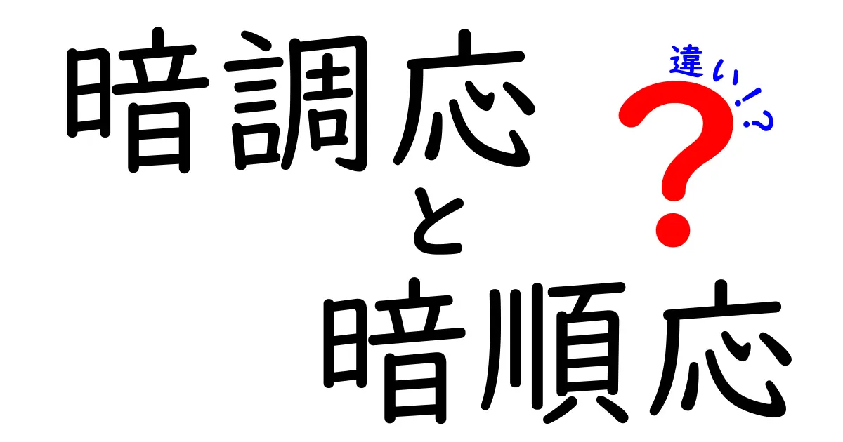 暗調応と暗順応の違いとは?視覚のメカニズムをわかりやすく解説!