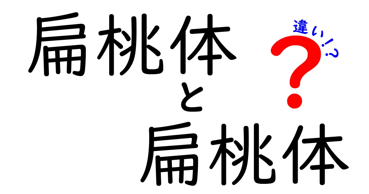 扁桃体と扁桃腺の違いを徹底解説|脳の扁桃体と免疫の扁桃を見分けるためのポイント